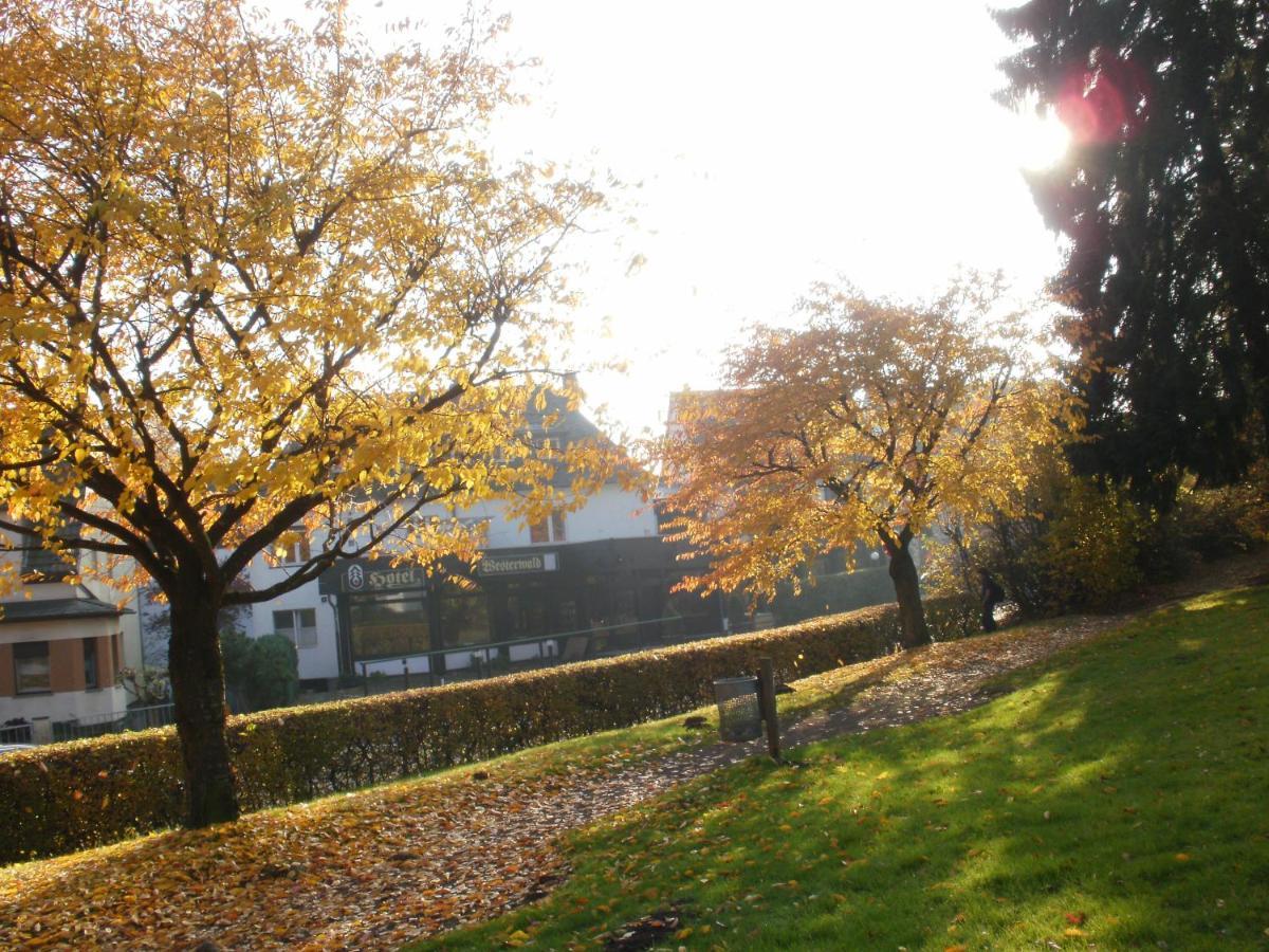 Hotel Westerwald 2*