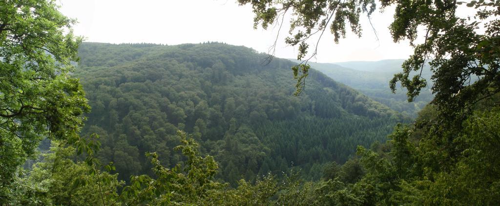 Hotel Westerwald